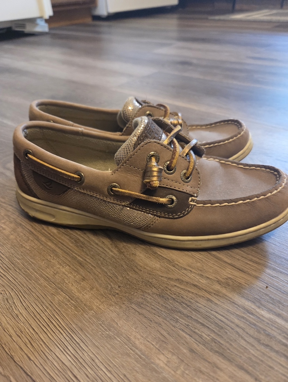 Sperry Shoes
